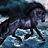LeoPrakash1