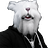 WhiteR4bbitt