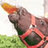 beer-for-my-horses