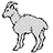 irish_goat