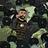 _maher