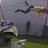 Taylor_McCrackwitch