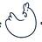 thechickenpet