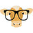 NerdCow