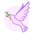 pinkpigeon