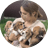 Stephanielovesbeagle
