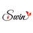 Swin-theme