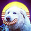 LaikaDawg