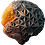 lonelyOrca