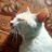 arun_mani_j