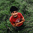 Hridhik_Sarang