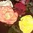 maryrwilson8gmailcom