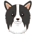 RaymondKYLiu