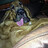 Sam_Mellors