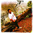 Abhineet