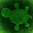 oddlittleturtle