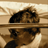 pierre_brisorgueil