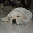 sandeep_bajpai