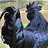 OldBlackHen
