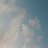 Nicholas_Nelson