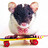 rockerrat