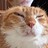 rysk_9844