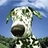 Greendogo