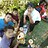 Arul