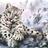 Elizabeth_Kay_Mazzei