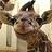 Jacob_Dill