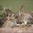 Khiem_Nguy_n