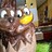 Squesh_Squesh