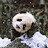 Jeff_Gardner