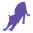 arayaryoma