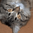 sevenseacat