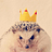 hedgehog