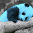 thebluepandabear