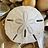 SandXDollar