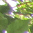 SolarDesalination