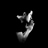 Virose_Fernandez