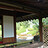 wangguanghui0607