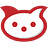 rocket.cat