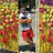 alberto_gcs
