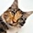 Russ_Blaisdell