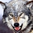 Wolfspirit