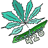 cardano_420