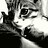 masato_kb