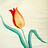 Murat_Gul