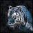 blacktyger