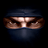 Crypt0Ninja